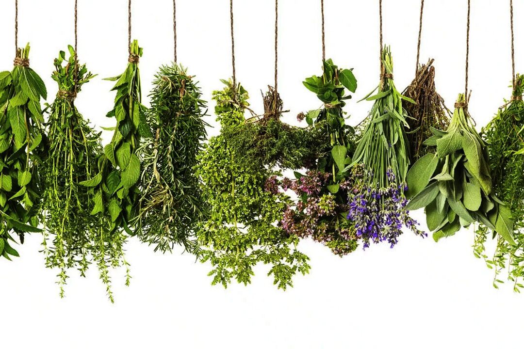 estratto di erbe tropicali in Eroboost